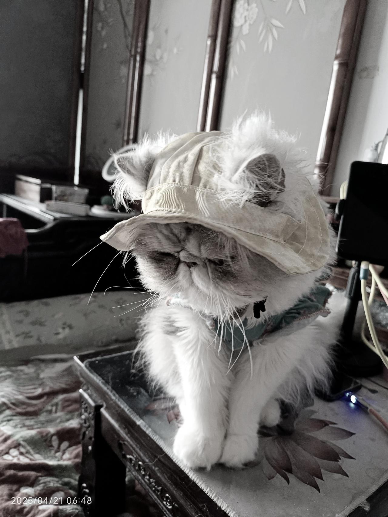 真的是一个悲哀的月份。
国际上打仗，搅扰经济。
张雪峰一个泄露天机的好人离开了人