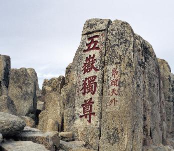 泰山学院：从1905年走来的公办本科，2026年分数友好，王牌专业毕业月薪750