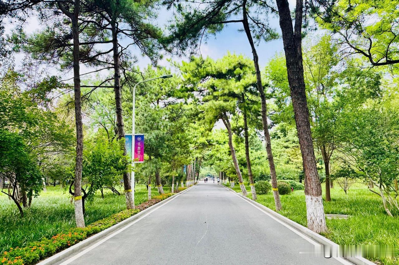 华汇智能申购，练练拼手速

华汇智能今天申购，周末已对该股的申购策略做过详细分析