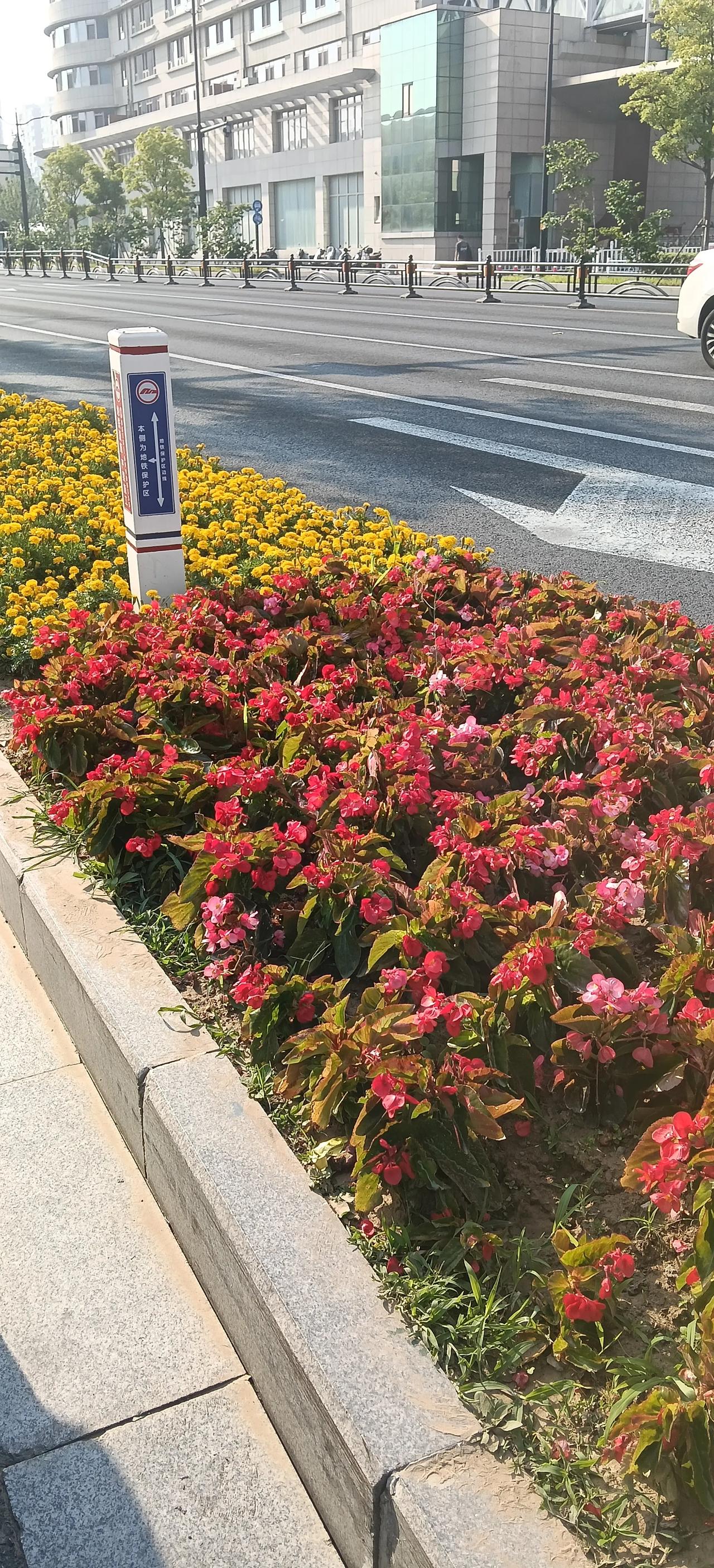 陈友谅为什么败给朱元璋?
陈友谅杀主夺权、人心不稳，又在战略上犯了致命错误。他急