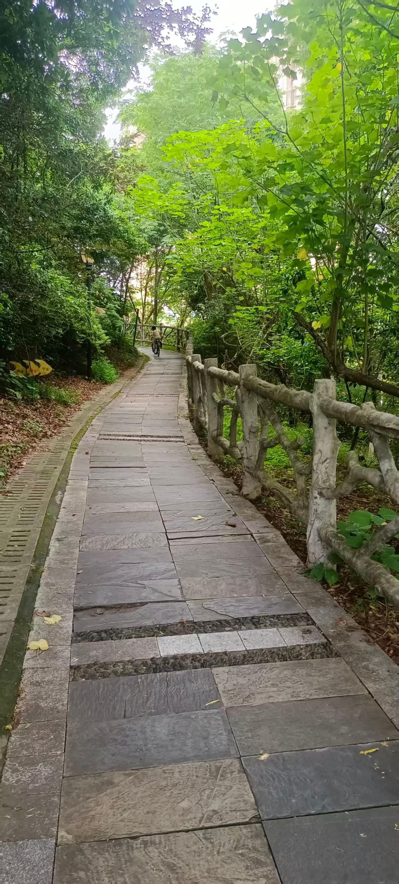 没有谁的幸运凭空而来，只要你足够努力，才会足够幸运。早安！黄金
