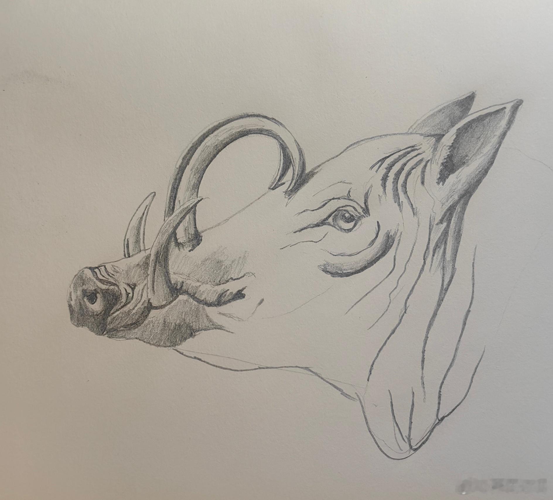 瞎划拉一下…… 