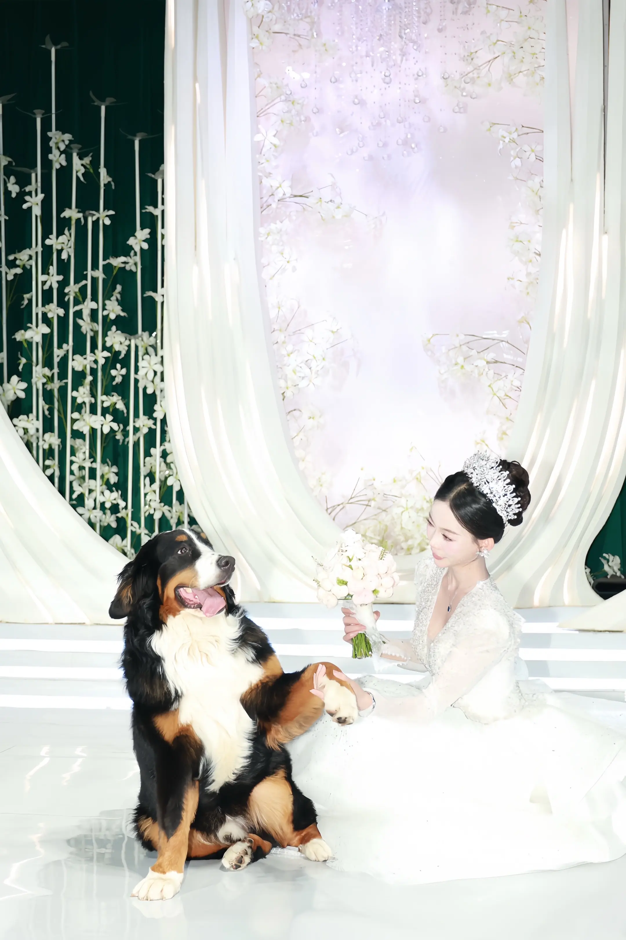 小斗我呀 参加了爸爸妈妈的婚礼