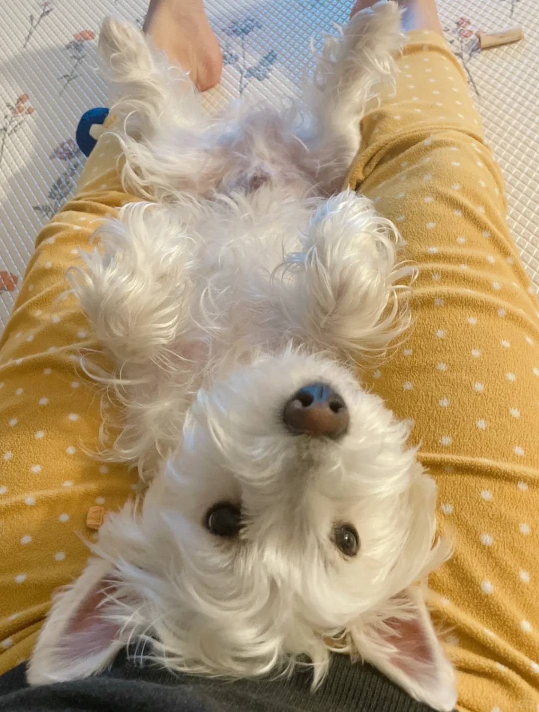 爱是时常亏欠
