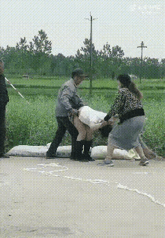 这是干什么？
