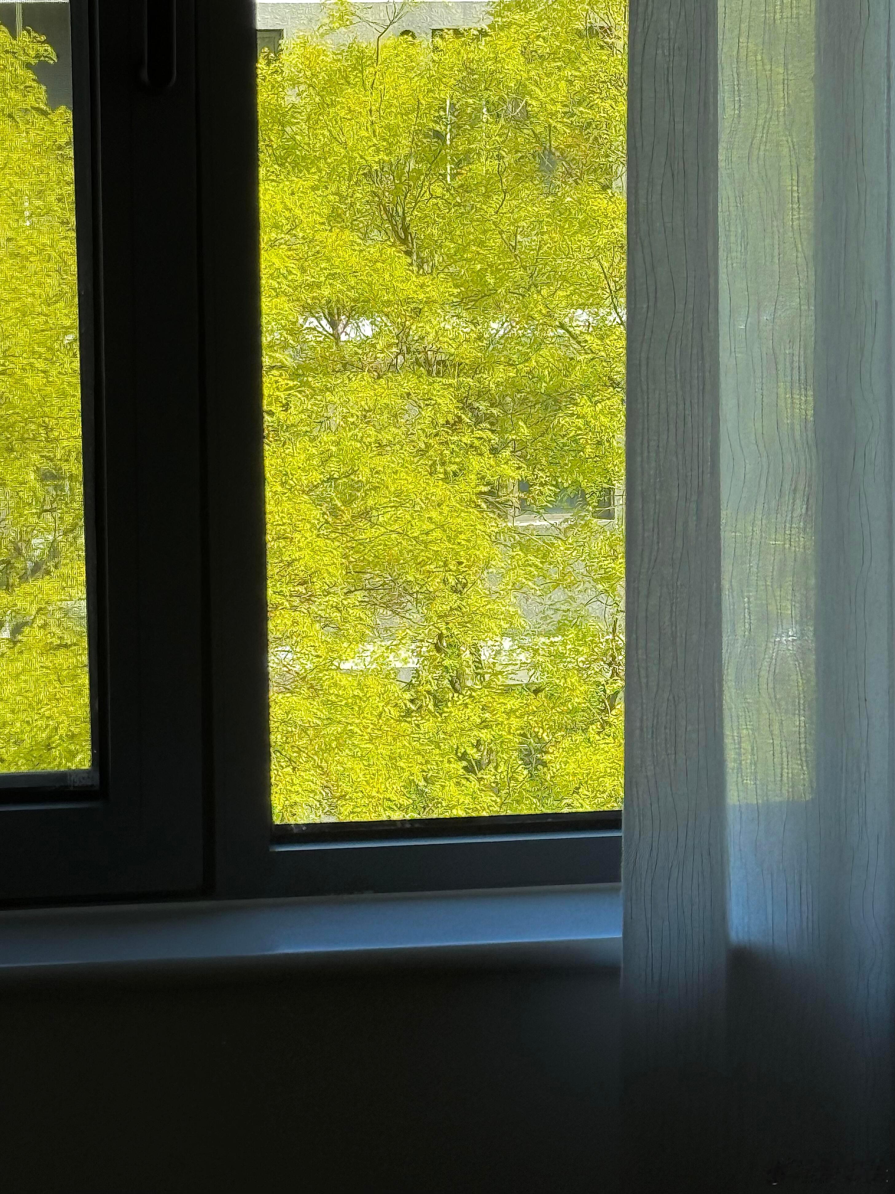 一路走来，有人说我高不可攀，有人说我孤傲不群，有人说我不迎世俗……我的人生似乎被