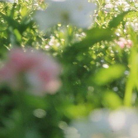 生活不需要比别人过得好，但一定要比以前过得好。人生最幸福的事不是活的像别人，而是