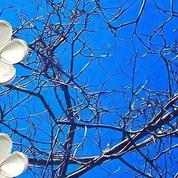 阳光信用‎阳光‎信用 ‎每日一善 懂得尊重别人，也尊重自己的心声，学会调整，遇见