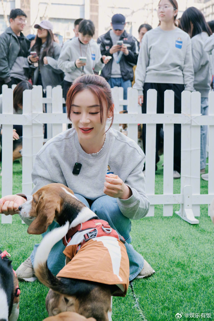 袁姗姗参加实验比格犬爱心活动袁姗姗领养了实验比格犬  袁姗姗分享参与实验比格犬爱