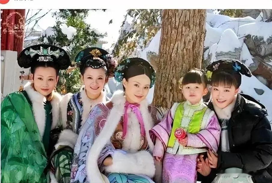 《甄嬛传》中的几位贵夫人个个风采无限，貌美天仙，孙俪娘娘身边这个温仪小公主，甜美