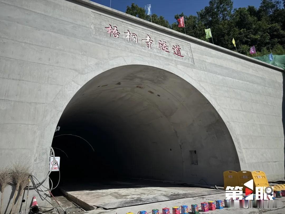 重庆避暑新通道敲定！仙女山↔南天湖仅半小时🔥
重庆夏天想躲清凉的宝子们！重大好