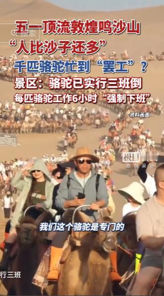 网传敦煌鸣沙山千匹骆驼客流爆满忙到集体罢工真相来了，景区官方权威作出正面回应，景
