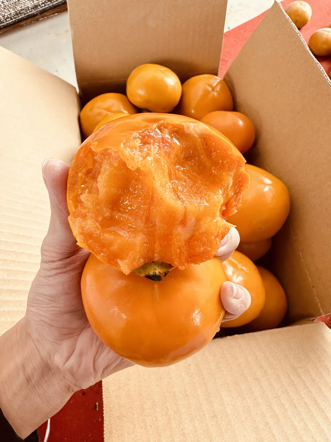 正宗巧克力糖心脆柿，上新福利8块8一箱！