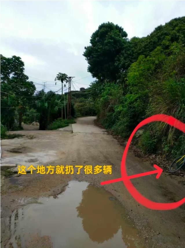 2018年我在深圳大湾呆了40多天，经常看见公共自行车被坏人扔的到处都是！河里，