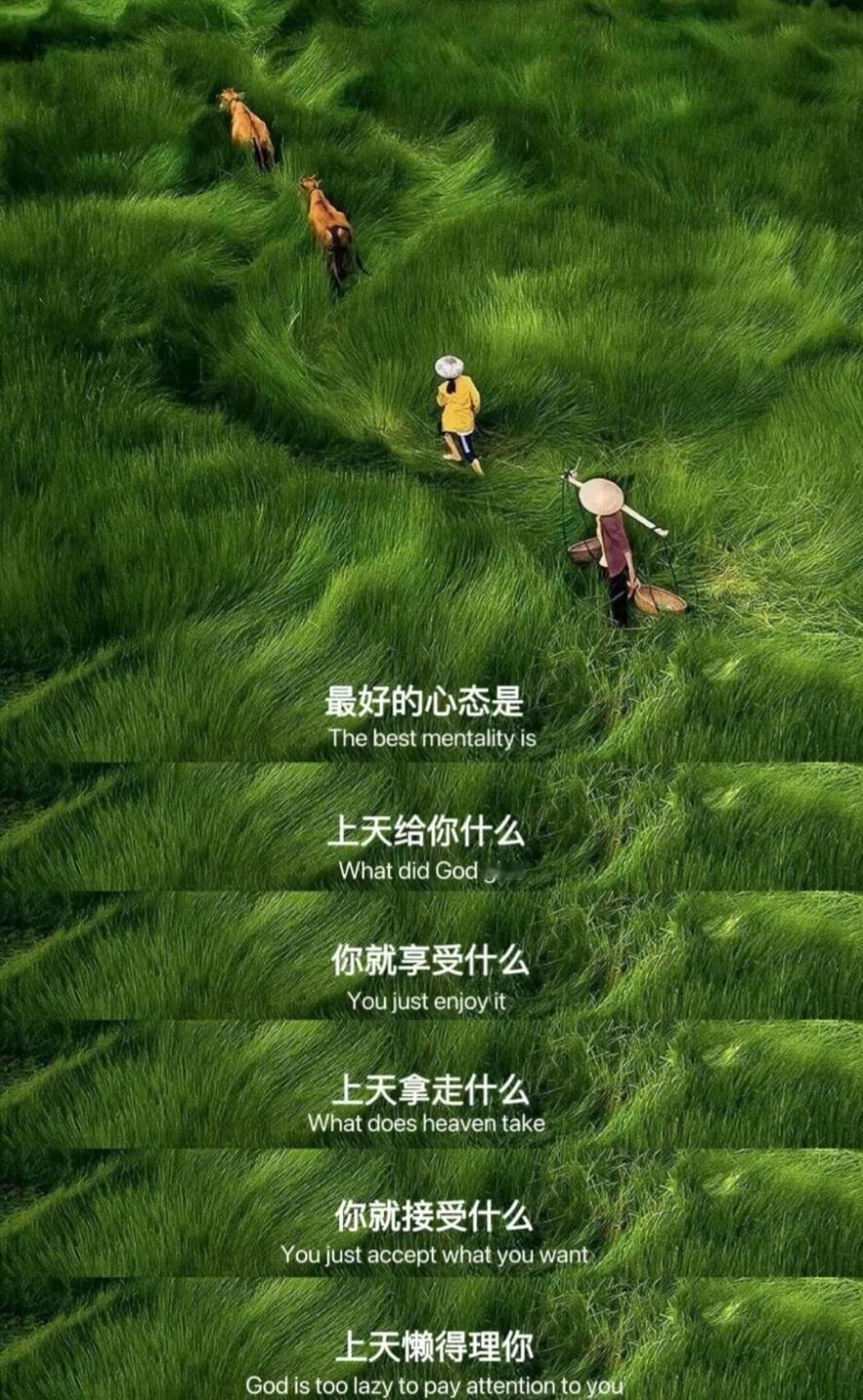 所有的山穷水尽都藏着峰回路转。 ​​​