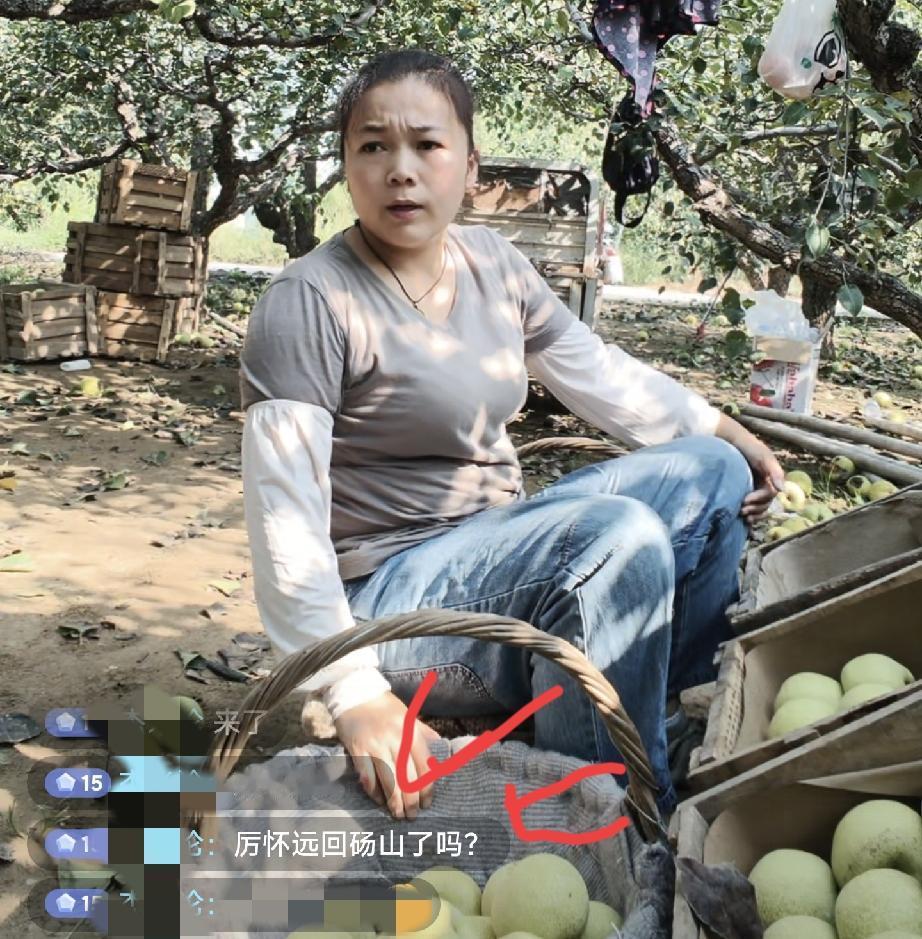 厉怀远发小媳妇说他已回砀山
林丽账号2天掉粉数量真不少！

自从厉怀远在云南带货