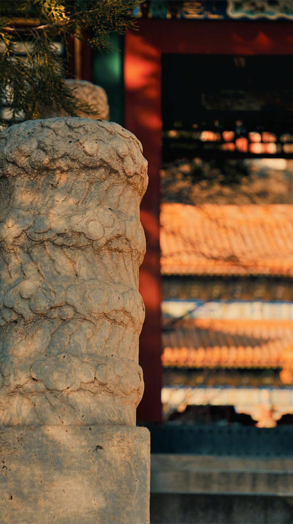 人到了一定的年龄，就该告别年少轻狂意气用事的鲁莽，这不是怂了，而是懂了，是一种云