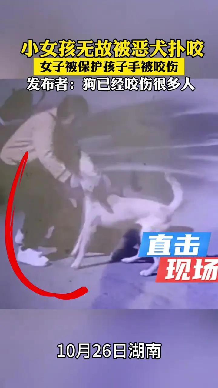 在湖南湘西，一名女孩在街头玩车时，突然遭到一只恶犬的扑咬。女孩的母亲见状，迅速将