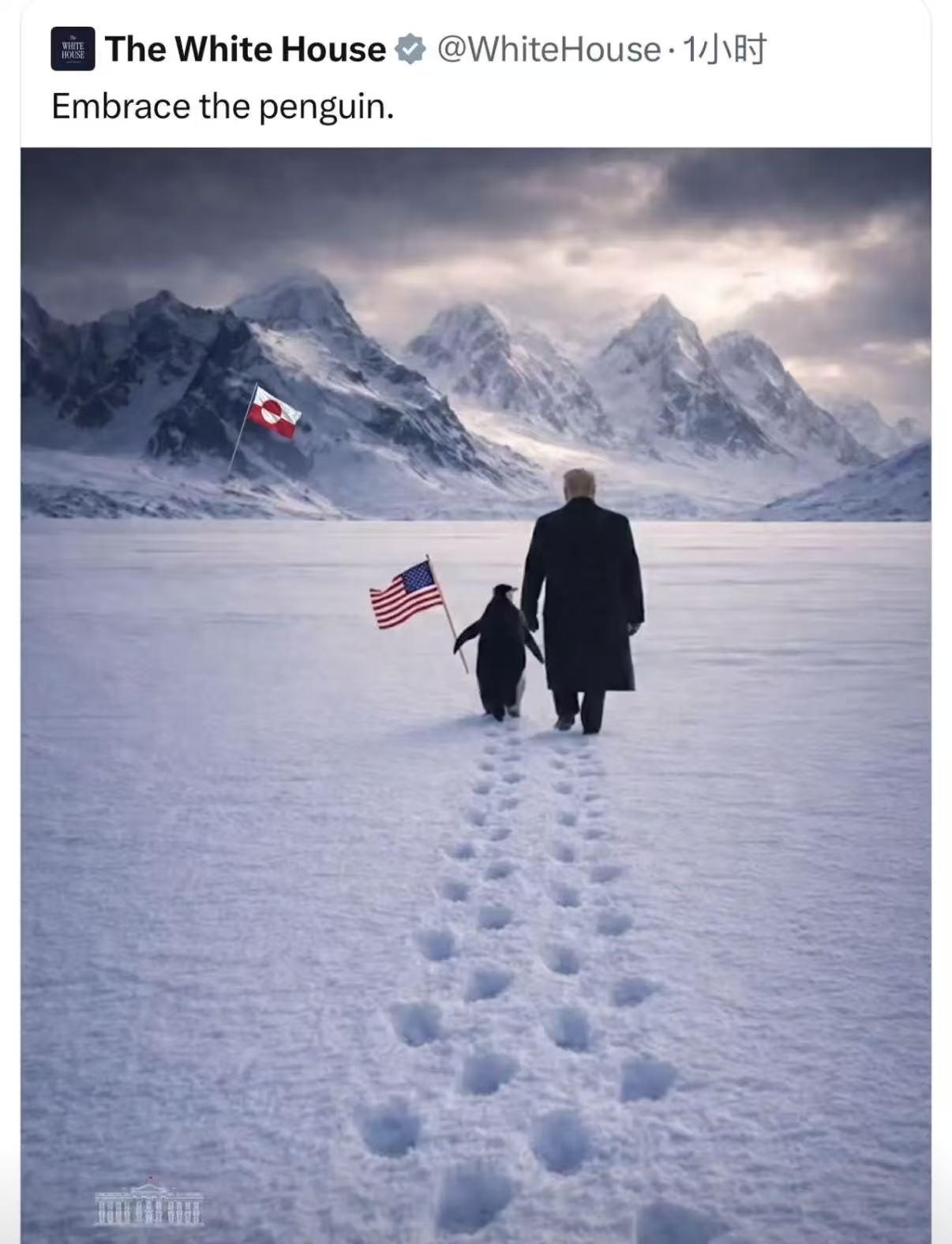 特朗普又闹了个大笑话。

白宫刚刚发了一张官方P图，特朗普牵着企鹅，企鹅拿着星条