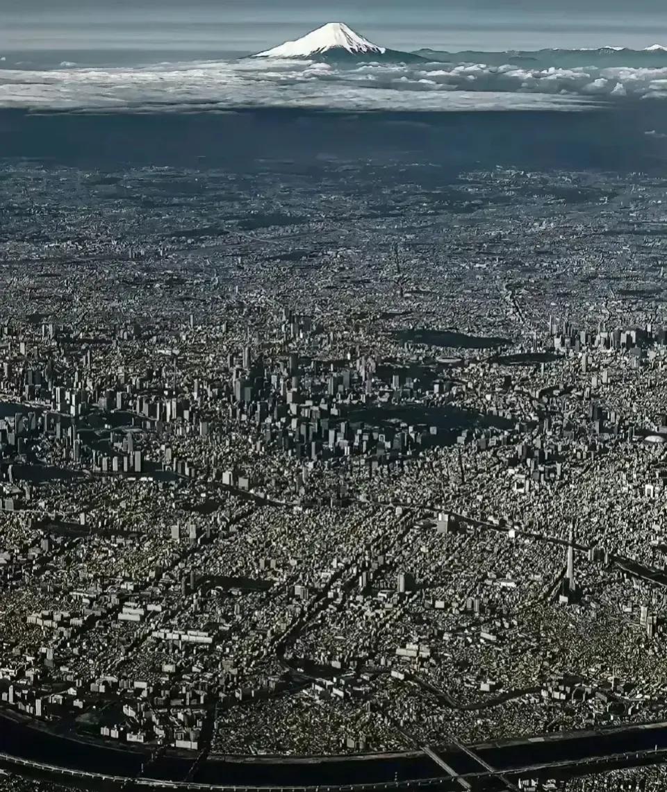 东京鸟瞰图，看到这张图你有什么想法？

亚洲最大城市，总面积2194平方千米 ，