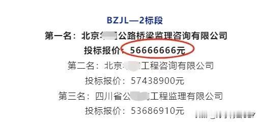 这是那位搞投标的兄弟
手随便在键盘上面敲了一下
然后就中标了吗？