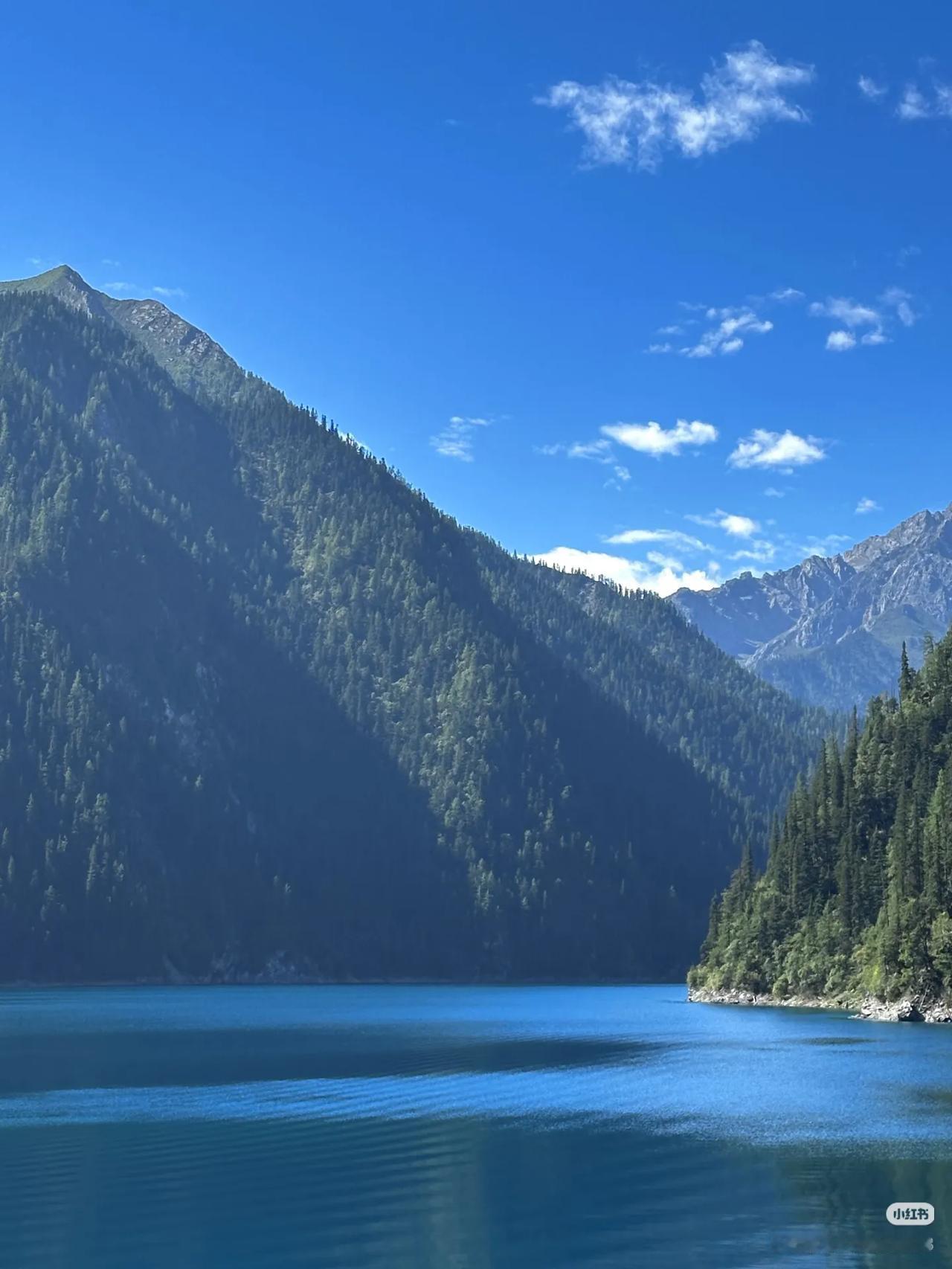 当我以为国内景区审美已经完蛋了的时候…
当很多景区吹来“想你的风”
只有去过九寨