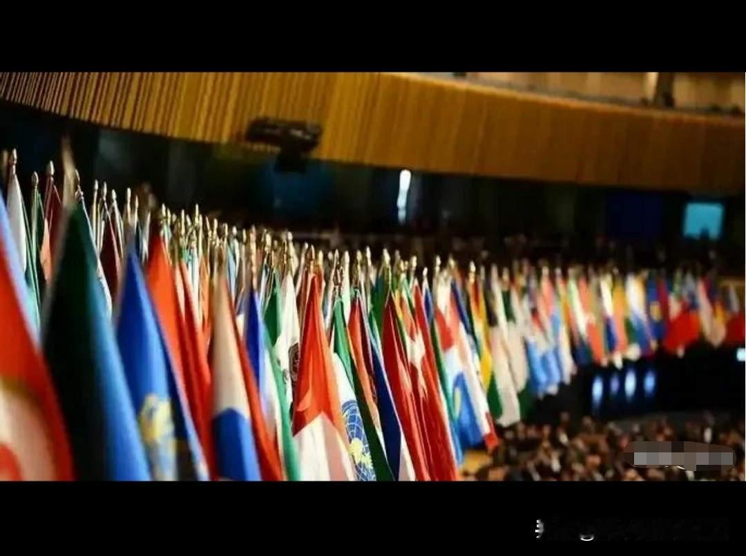 立陶宛五年后终于服软！  
总理公开认栽：当年那步棋走砸了  
中方三天回话：说