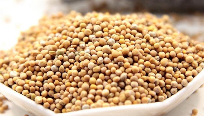 一味白芥子，消除患者身上25个脂肪瘤后，我说：几十块钱就能解决的事儿，没必要用做