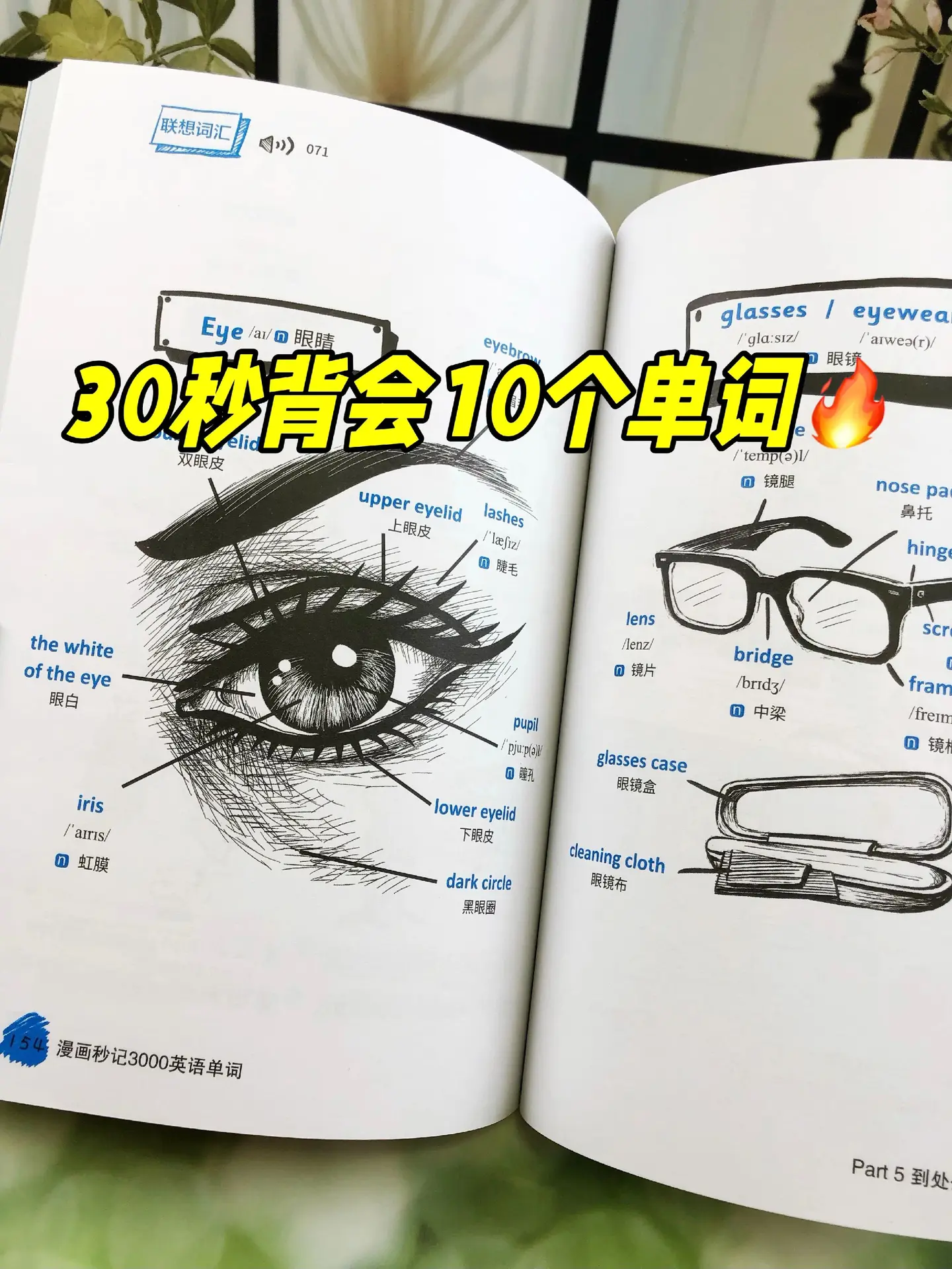天呐😱瞬间对英语兴趣提升10000％。天！怎么会有这么懂孩子的英语书...