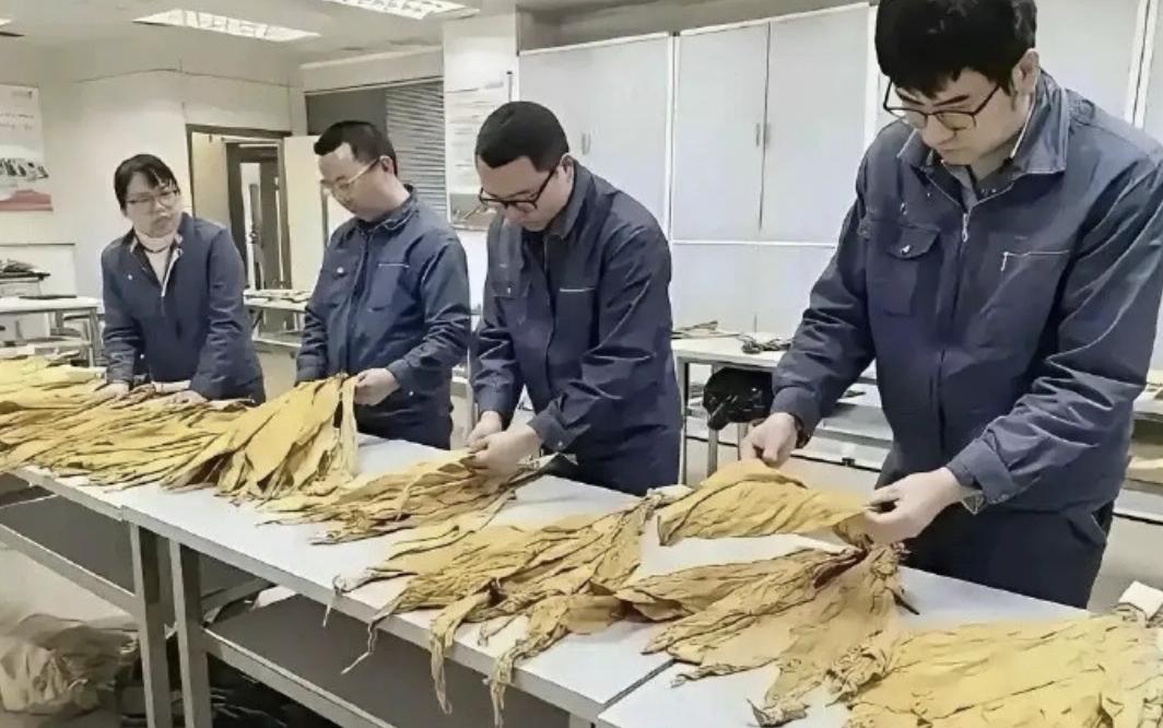 都说这是份人人挤破头都想挤进去的工作，这话真不假！

有网友开玩笑说：“这活儿连