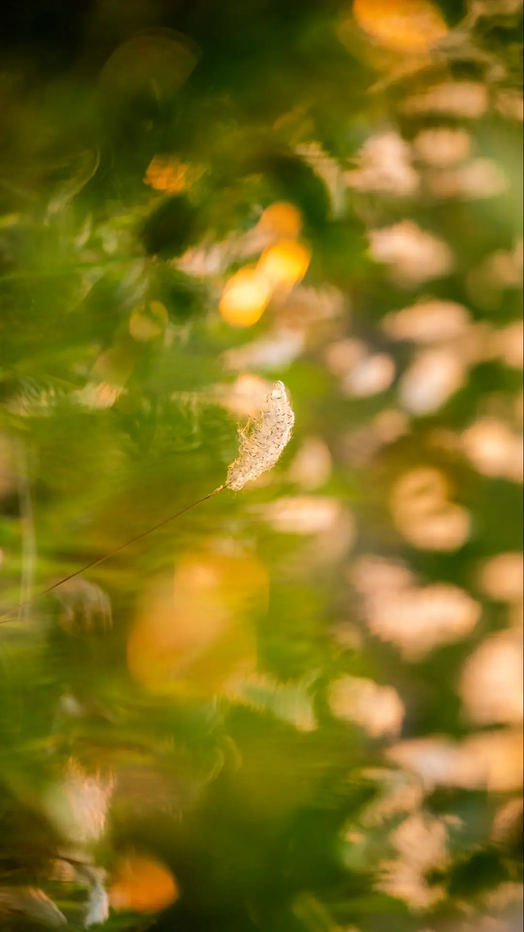 还记得小时候嘛。