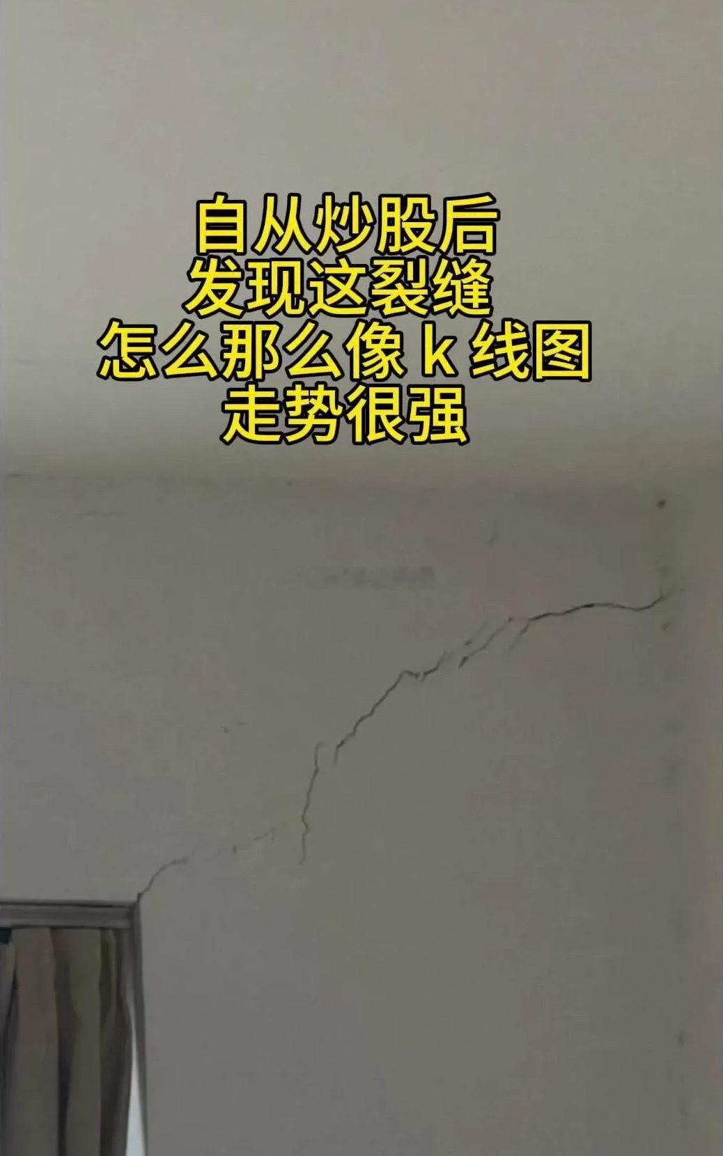你觉得今天半导体能扛起大旗吗？A. 能，国产替代无敌！B. 不能，大盘太弱带不动