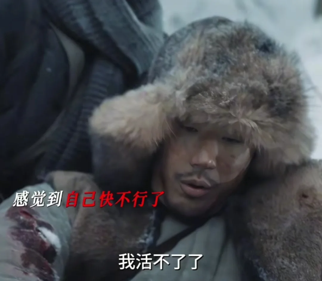 意难平，《归队》最爱的葱山小白马死了