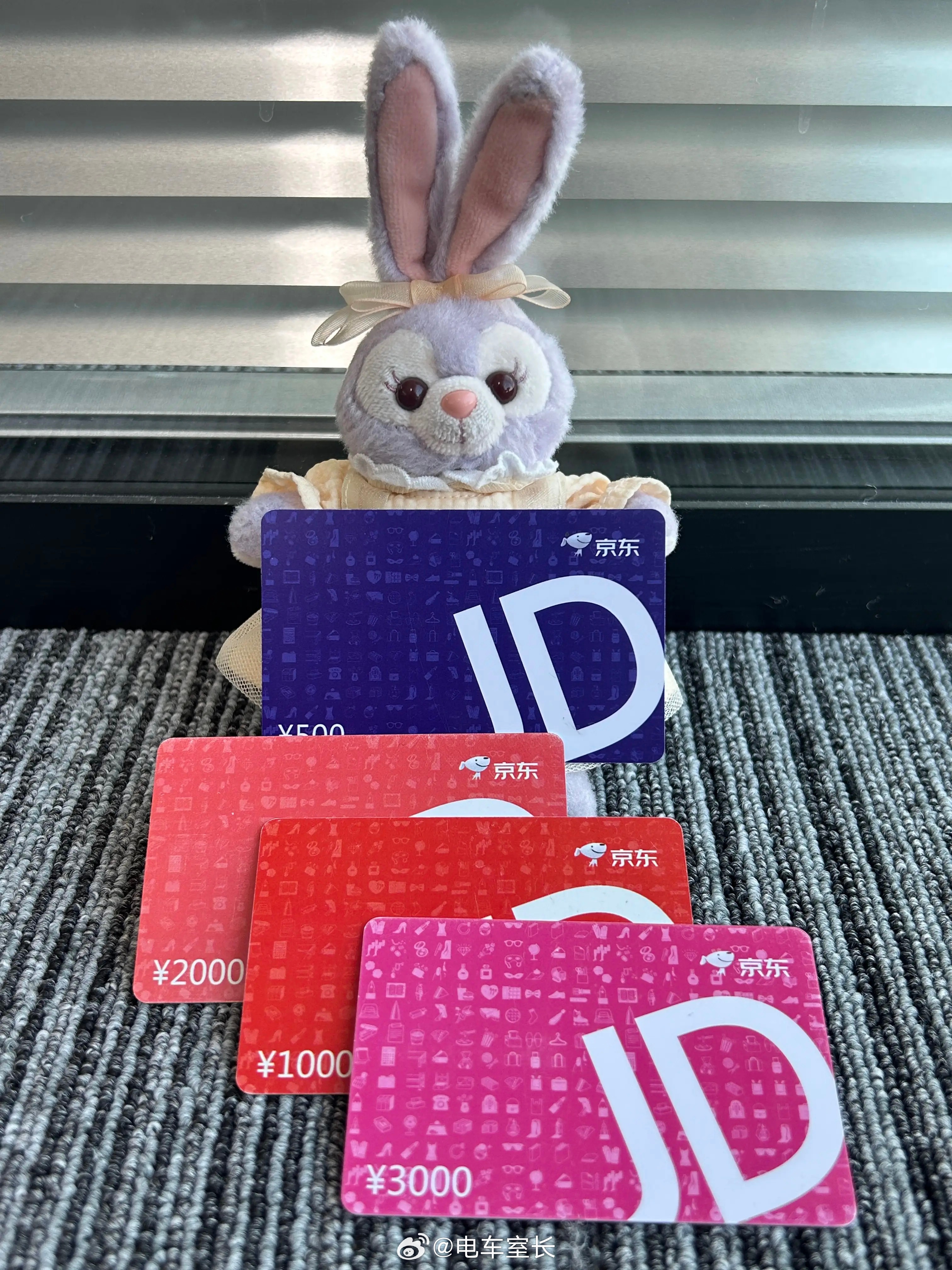 电车室长宠粉计划 老规矩，铁粉评论验牌，替东哥抽500元子卡。  抽奖详情