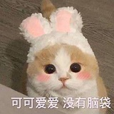 小润润热聚历史
