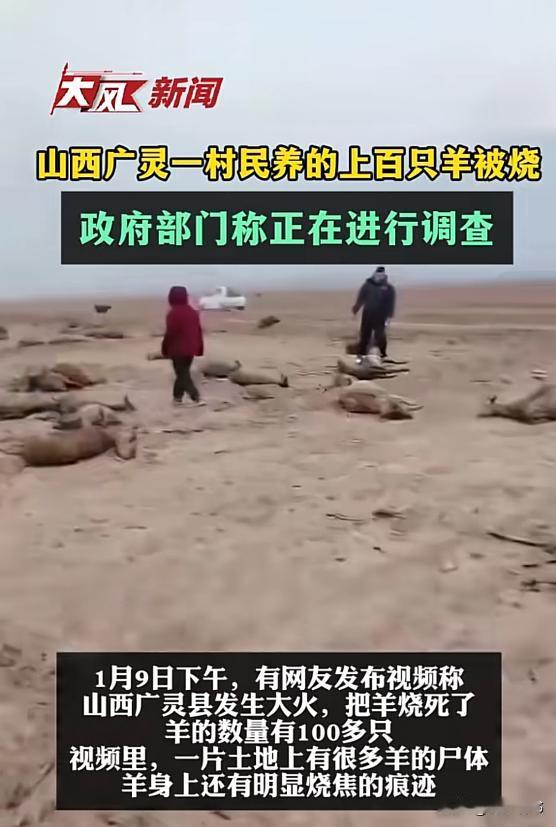 “悲剧还是发生了！”1月9日，山西大同，一残疾男子放羊时，地里突然着火了，当时风
