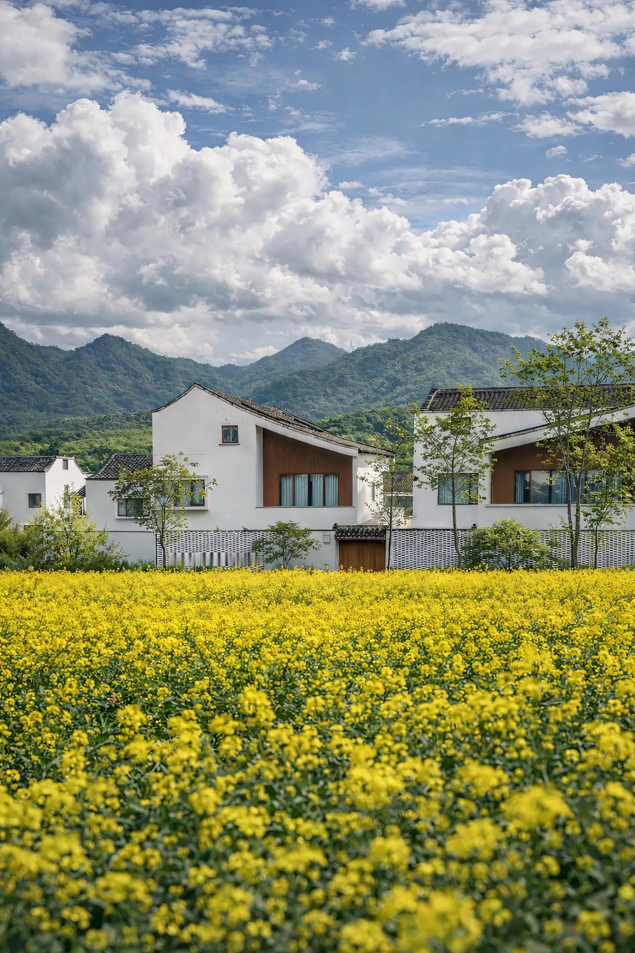 我一向秉持的原则是，绝不主动欺负他人。但要是有人找上门来挑衅，你若打我一拳，我定