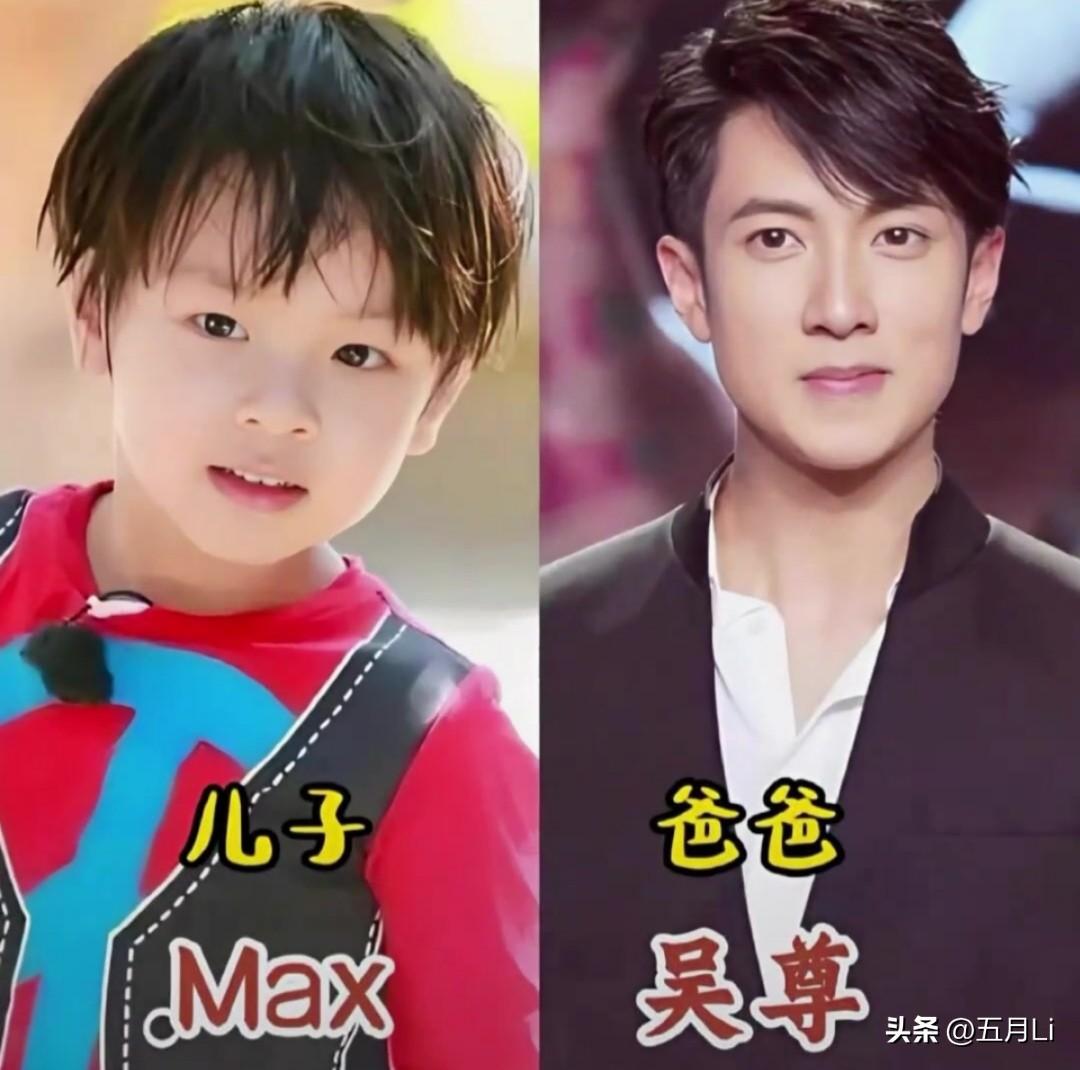 明星父亲Vs童星儿子对比