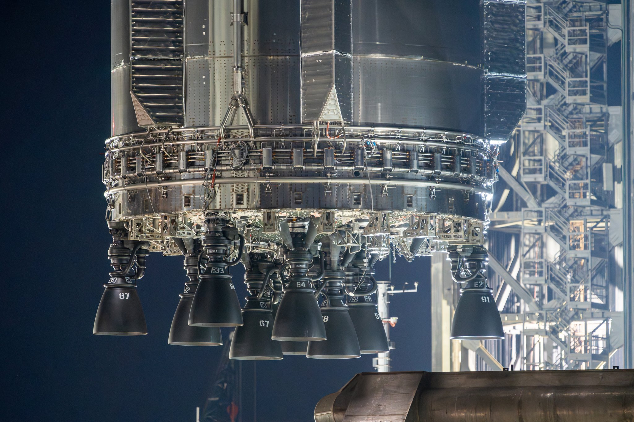 夜幕下的猛禽3图源：yingzhangphoto 