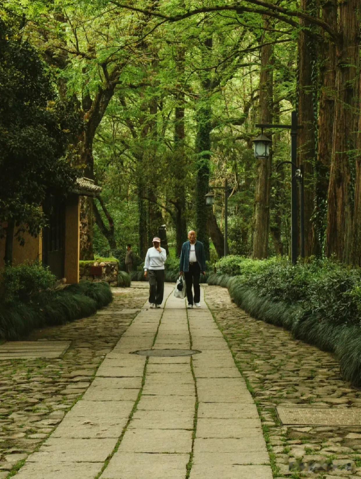 实测！这条路去灵隐寺原来真的不排队！！！
周末带麻麻来灵隐寺，她说：最喜欢的就是