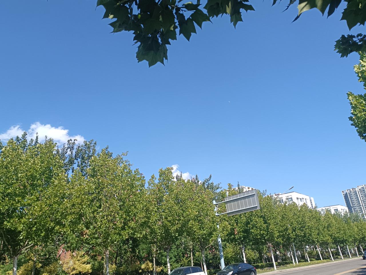 东营九月二日：
蓝天、白云，还有一架飞机在天上翱翔。
风不大，天也不算太热。我骑