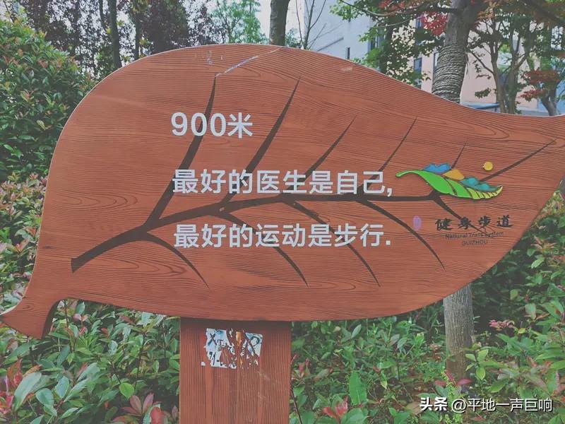 我不是反对人要奋斗，

年轻人要奋斗要打拼，这一点我很赞同！

我只是反感的是，