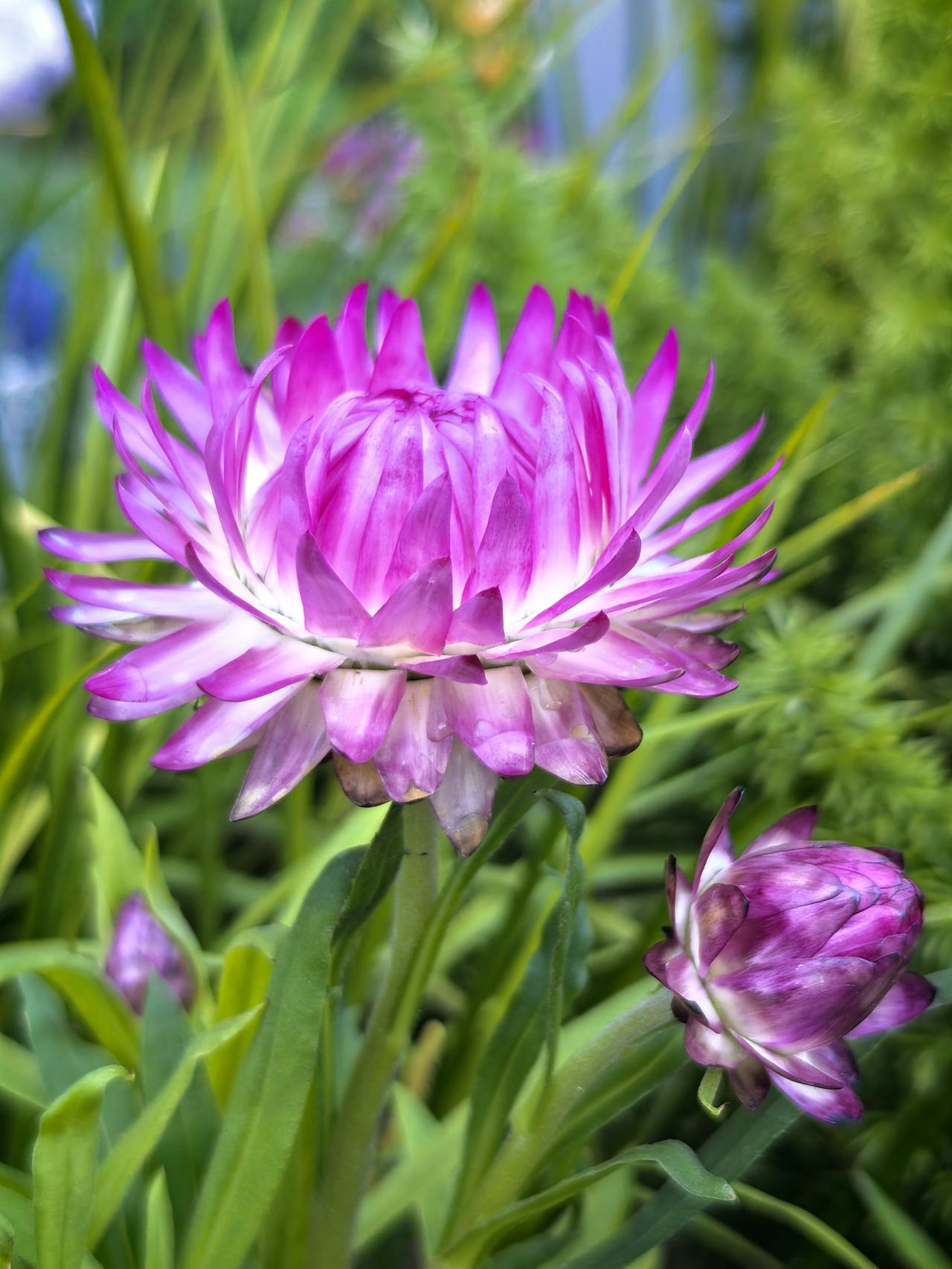 Life is, at its core, a repetition of th