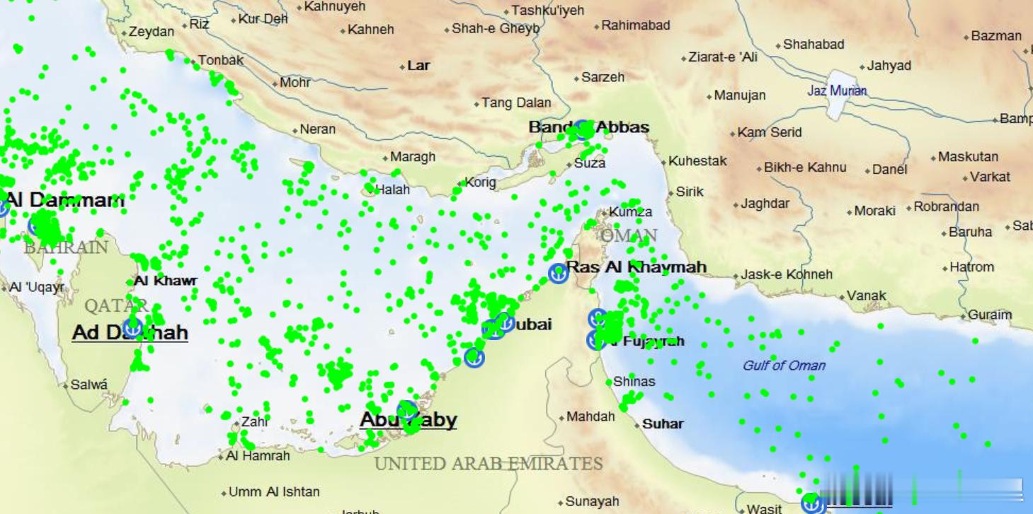 霍姆尔斯海峡目前船舶好像是都能正常通行，这个网站可以看到实时数据：网页链接
