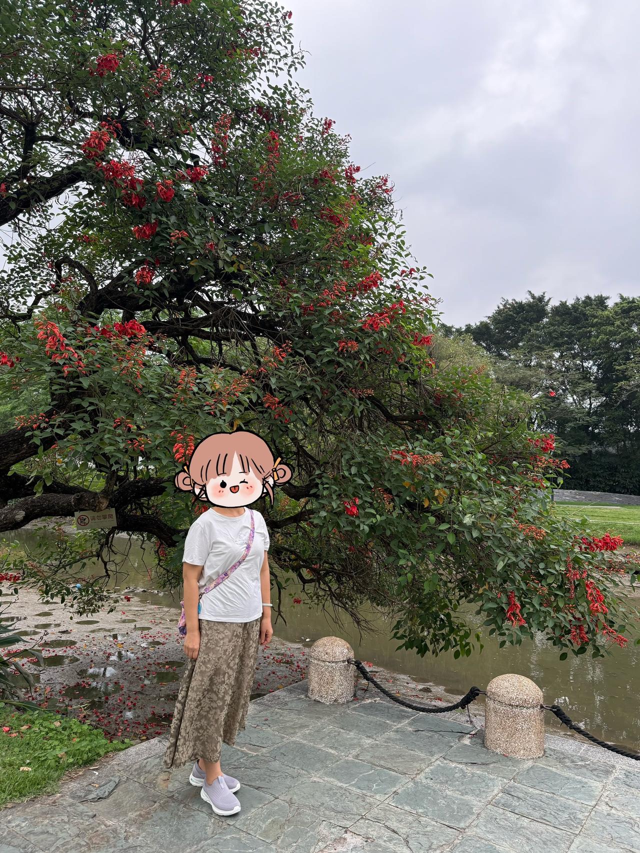 2026年夏天，第一条自己做的半裙。
拿家里旧裙子照着版型，稍微放大一点，加了缝