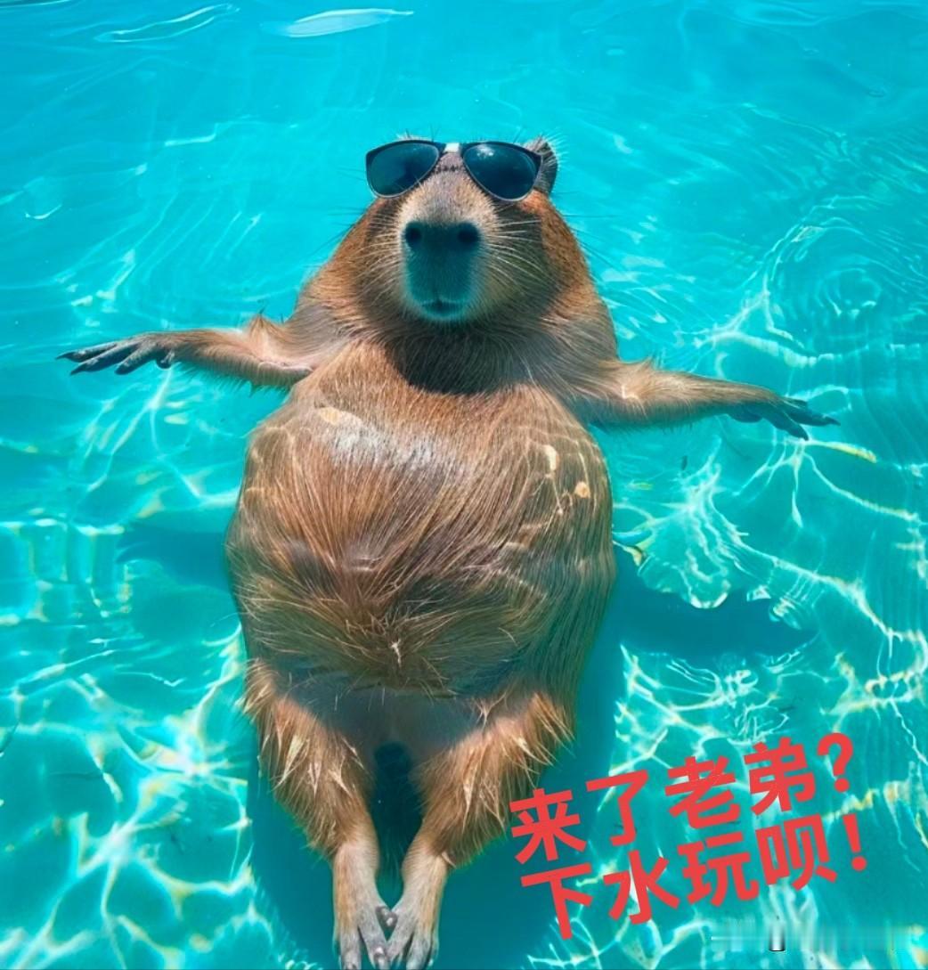 那台风搞的江浙沪都吃积食了，山东人也是白激动一顿最后等来了个保湿喷雾，抻着大脖子