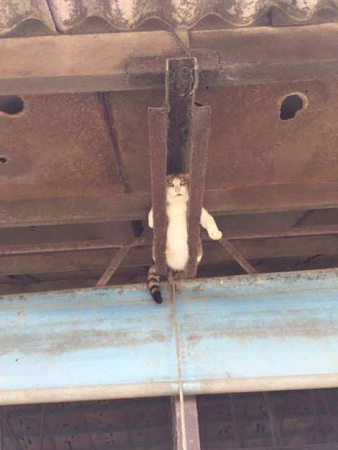 层层把关，想上楼看来不容易啊！