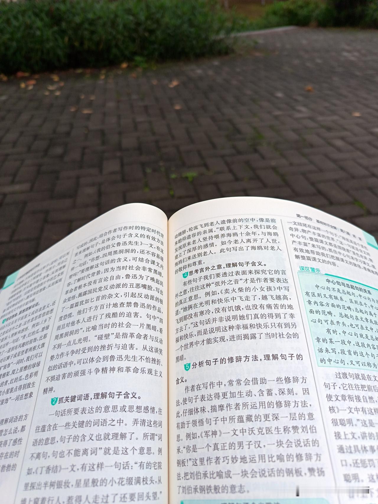 想出门的人，只能捡雨和雨之间的间隙。我带上书📚，也带上闲适的心情，来到大自然。
