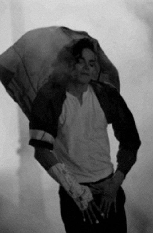 迈克尔杰克逊  📸  | Michael Jackson, Panther D