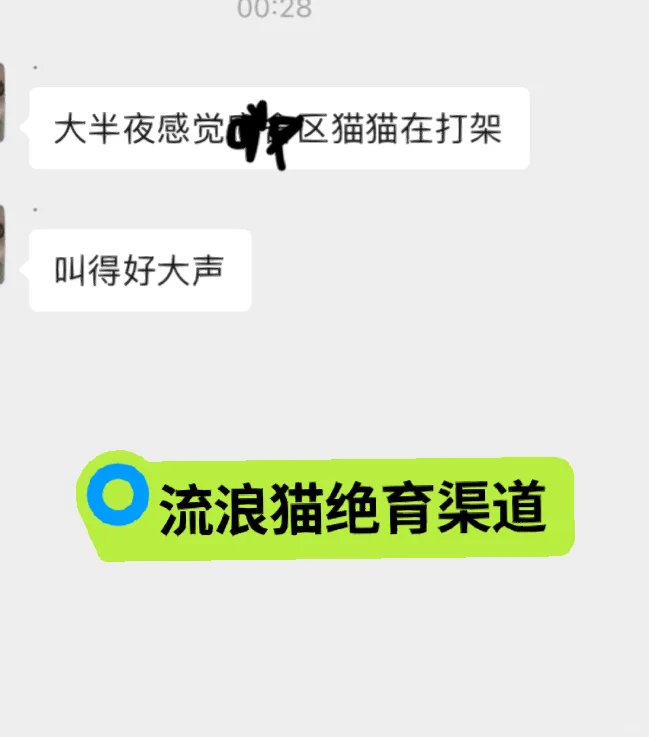 今天处暑 凉快了，申请绝育票找北京小动物保护协会，北京领养日，它基金...